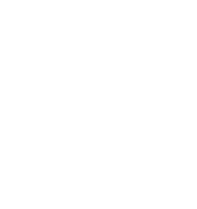 Roots Counseling